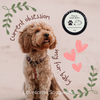 Paw & Nose Balm
