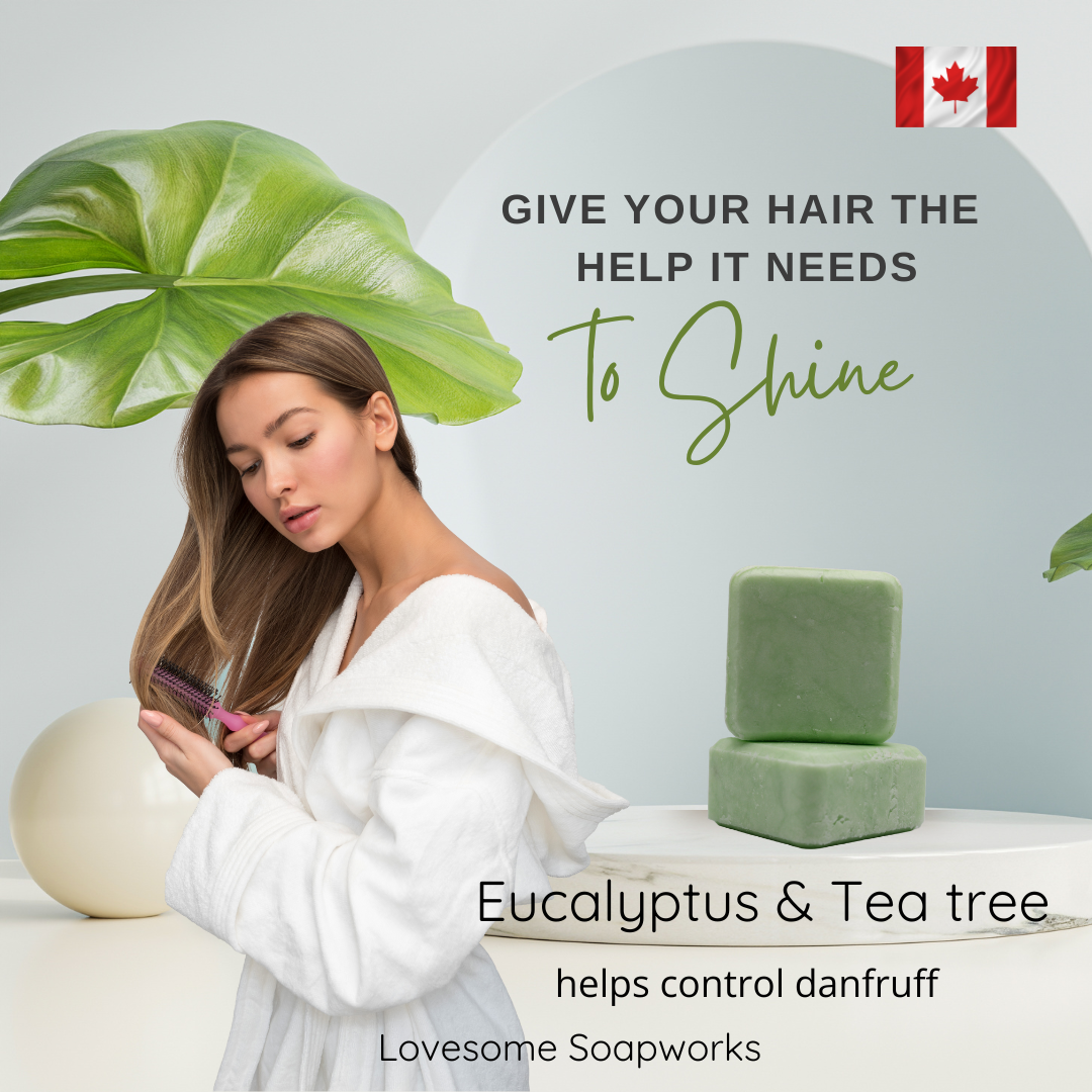 Eucalyptus & Tea tree Shampoo bar