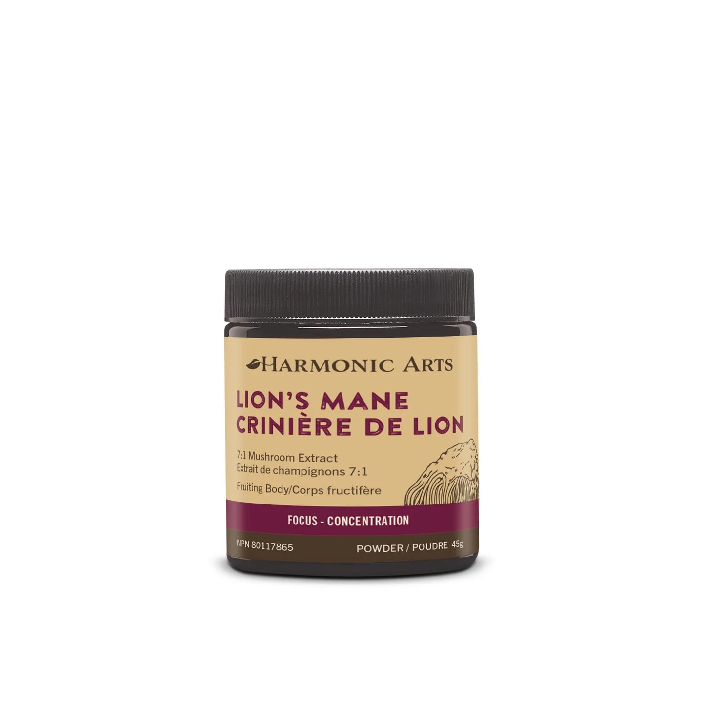 Lion's Mane Concentrated Mushroom powder