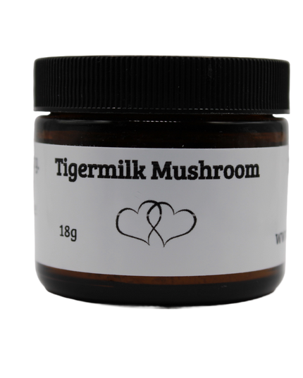 Tiger Milk Mushroom Powder