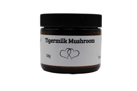 Tiger Milk Mushroom Powder