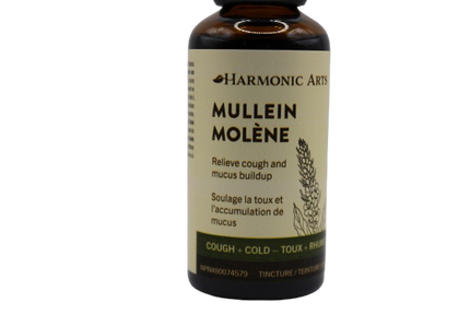 Mullein Tincture