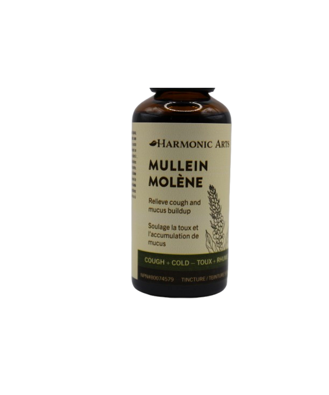 Mullein Tincture